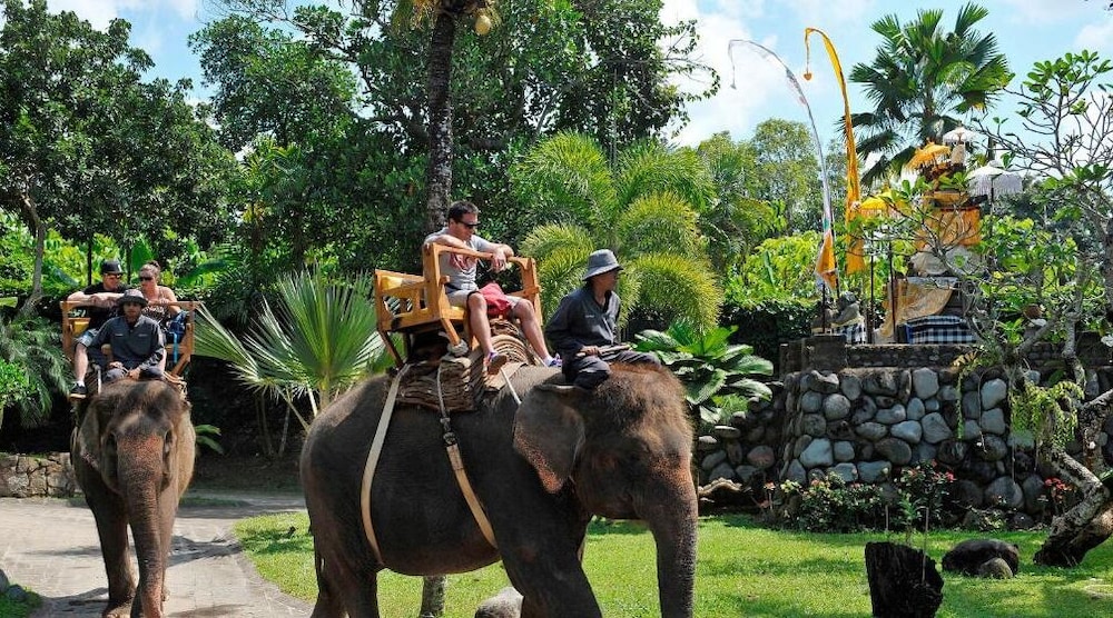 The Bali Purnati Center For The Arts - Adults Only 30/50