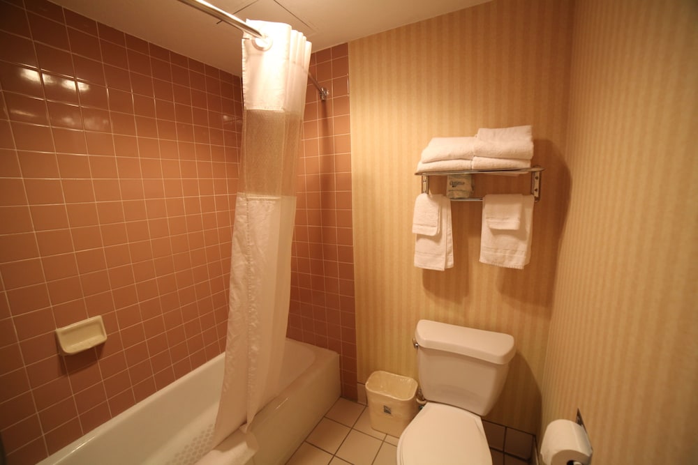Hotel Le Reve Pasadena 33/59