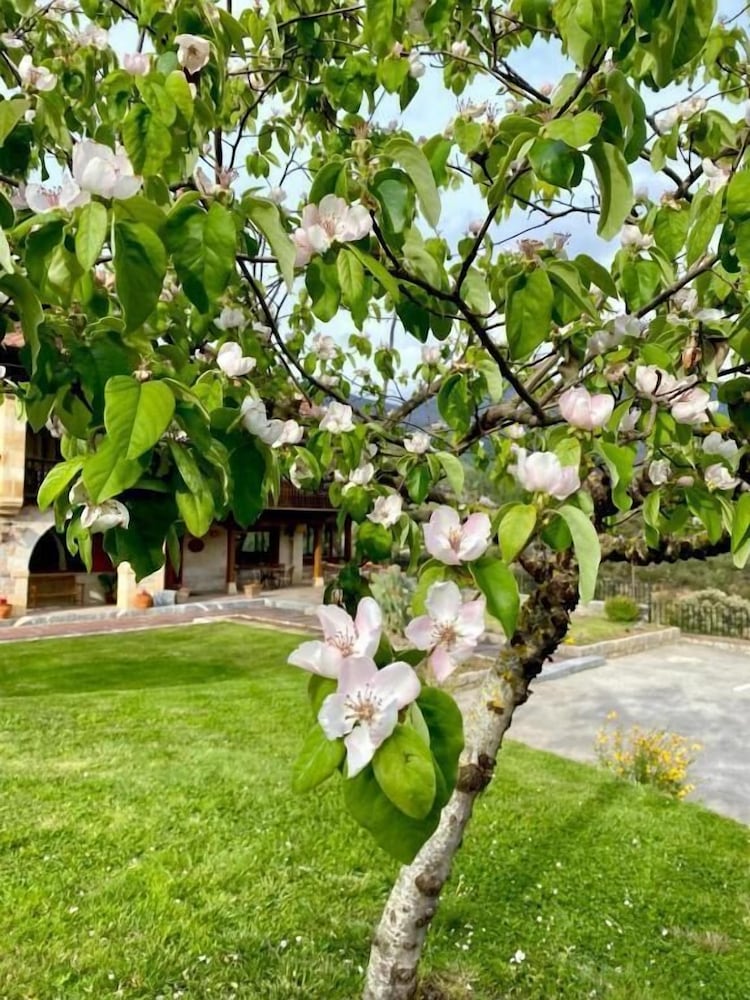 Hotel Finca Malvasia 56/60