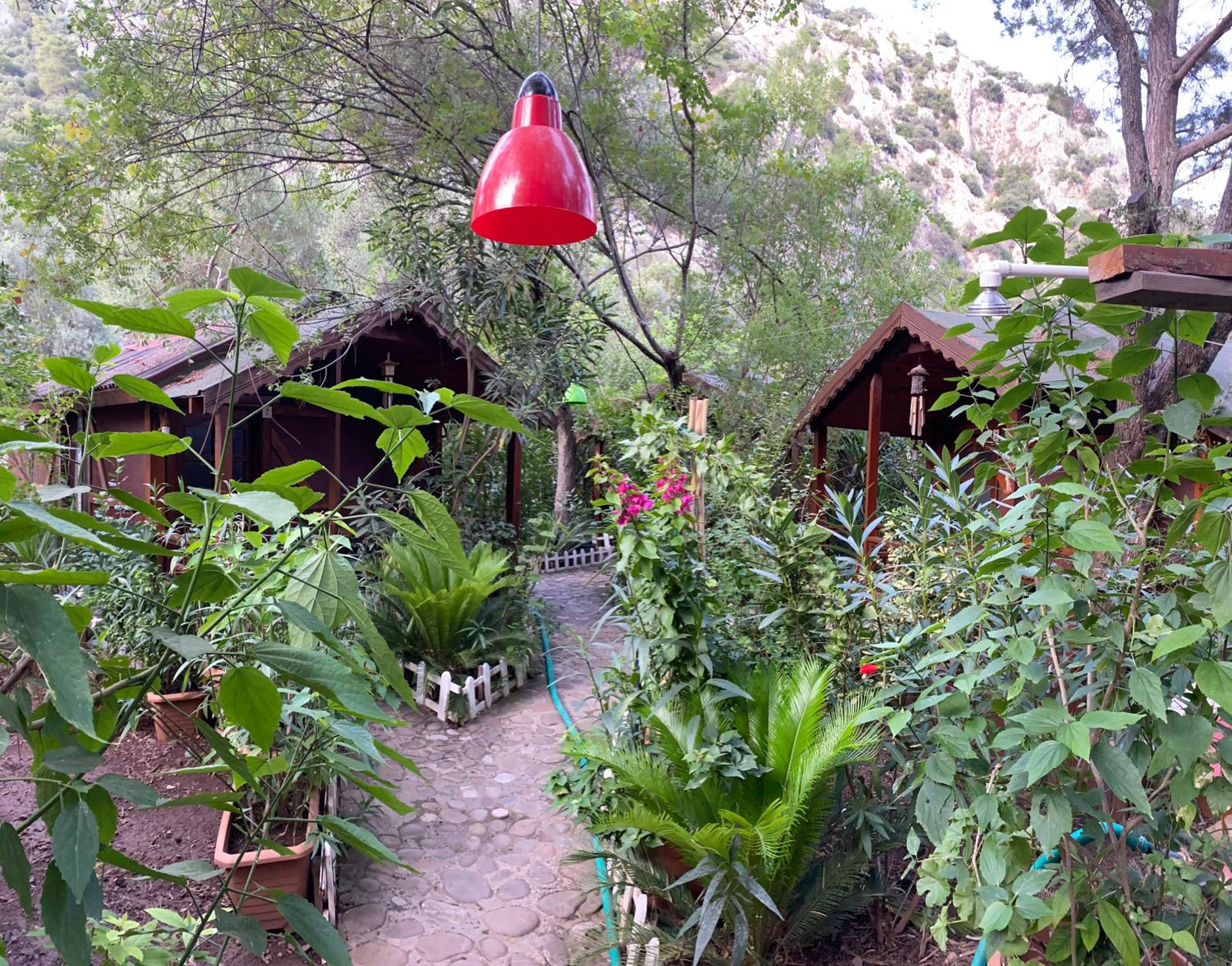 Canario Pension Bungalow 15/50