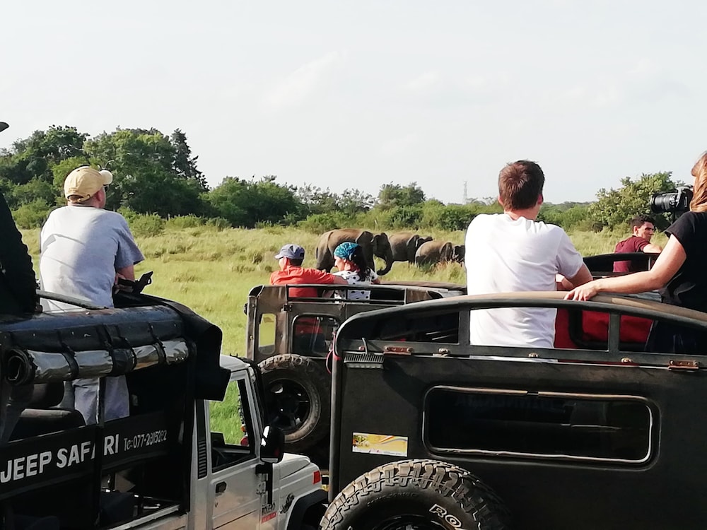 Rajarata Lodge 29/50