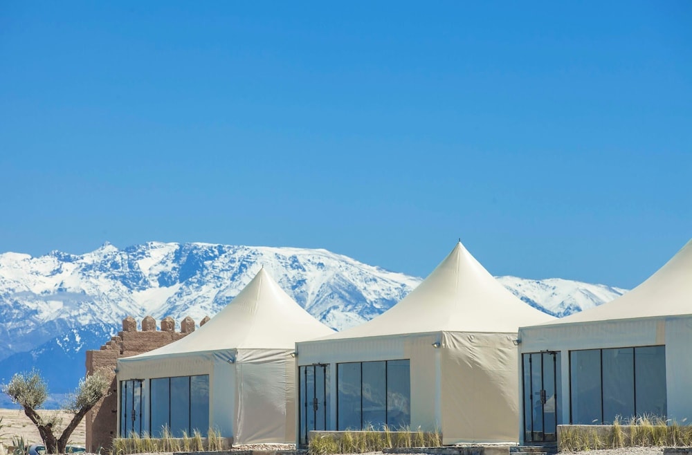 The White Camel Lodge 1/36