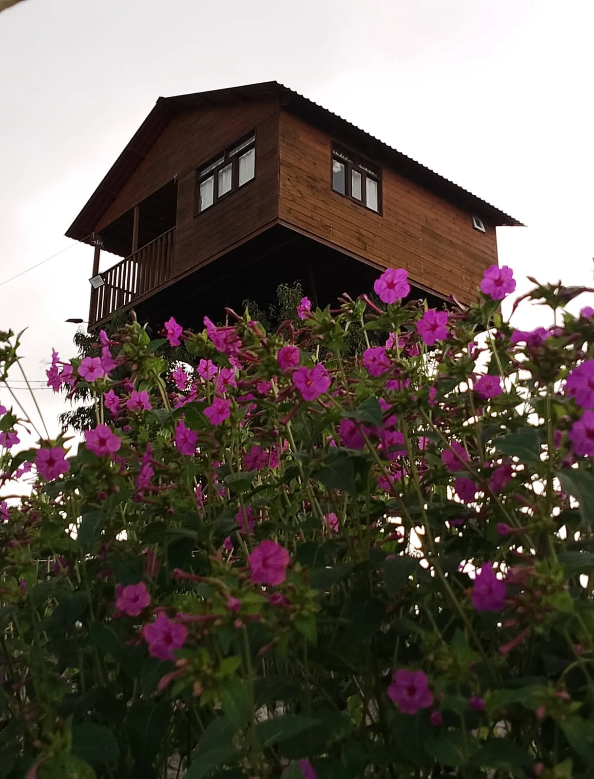 Casita del arbol Trini By GEstores 28/30