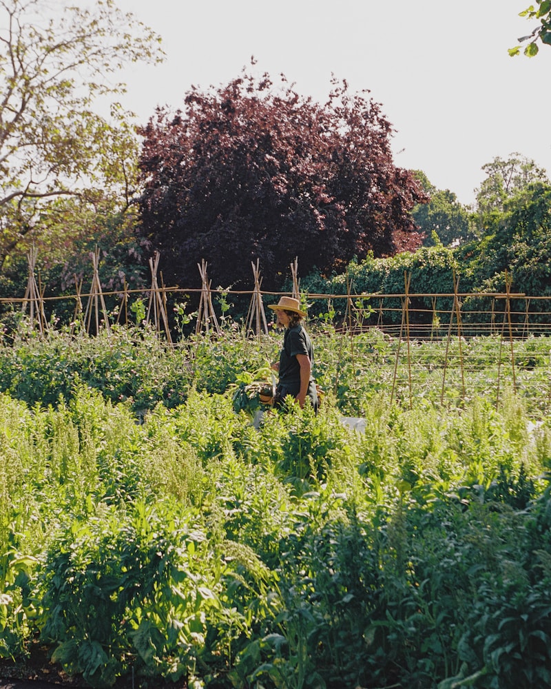 Le Manoir Aux Quat Saisons A Belmond Hotel Oxfordshire 43/81