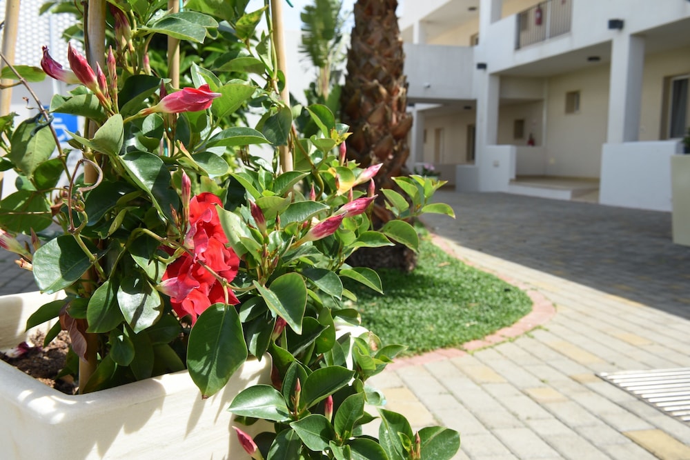 Donnosanto Hotel 44/50