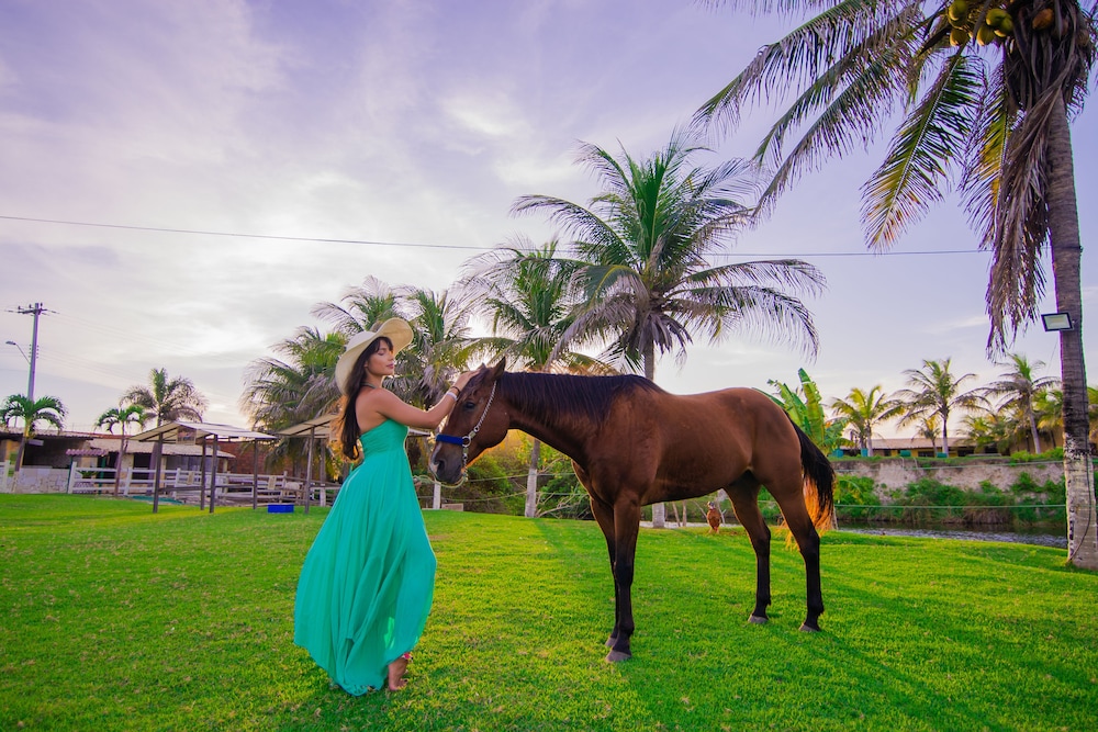 Coliseum Beach Resort All Inclusive 24/44
