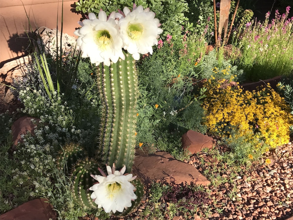 Casa Sedona Inn - Adults Only 29/50