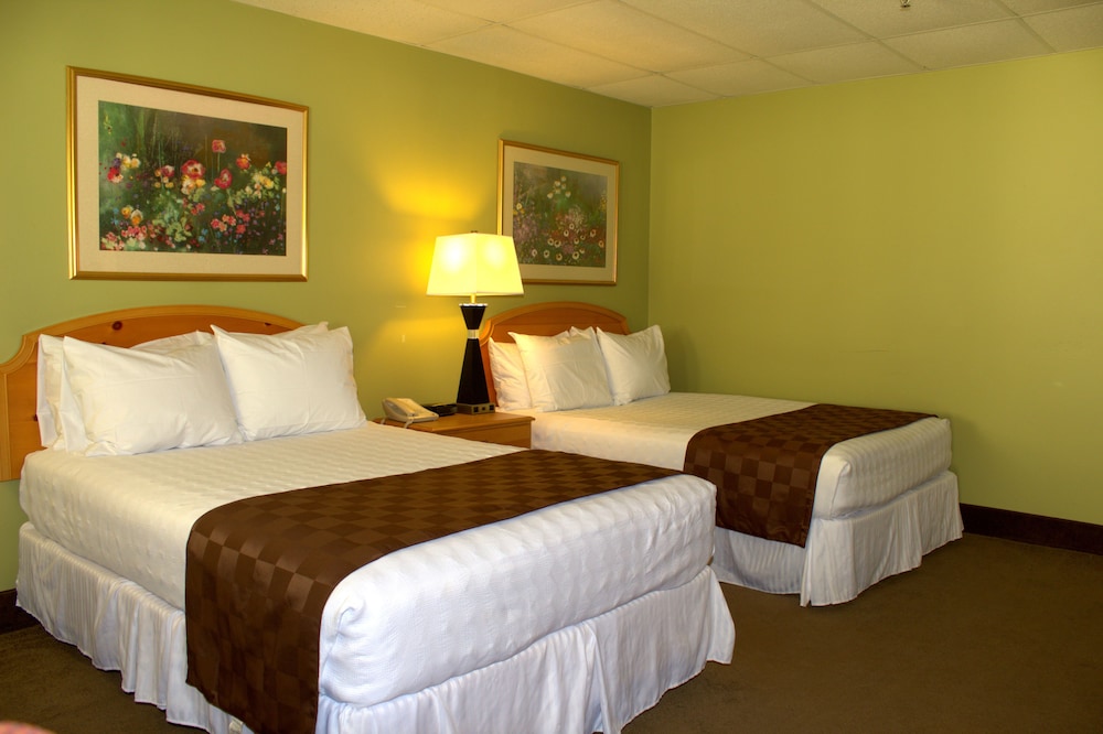 Standard, 2 Double Beds, Accessible