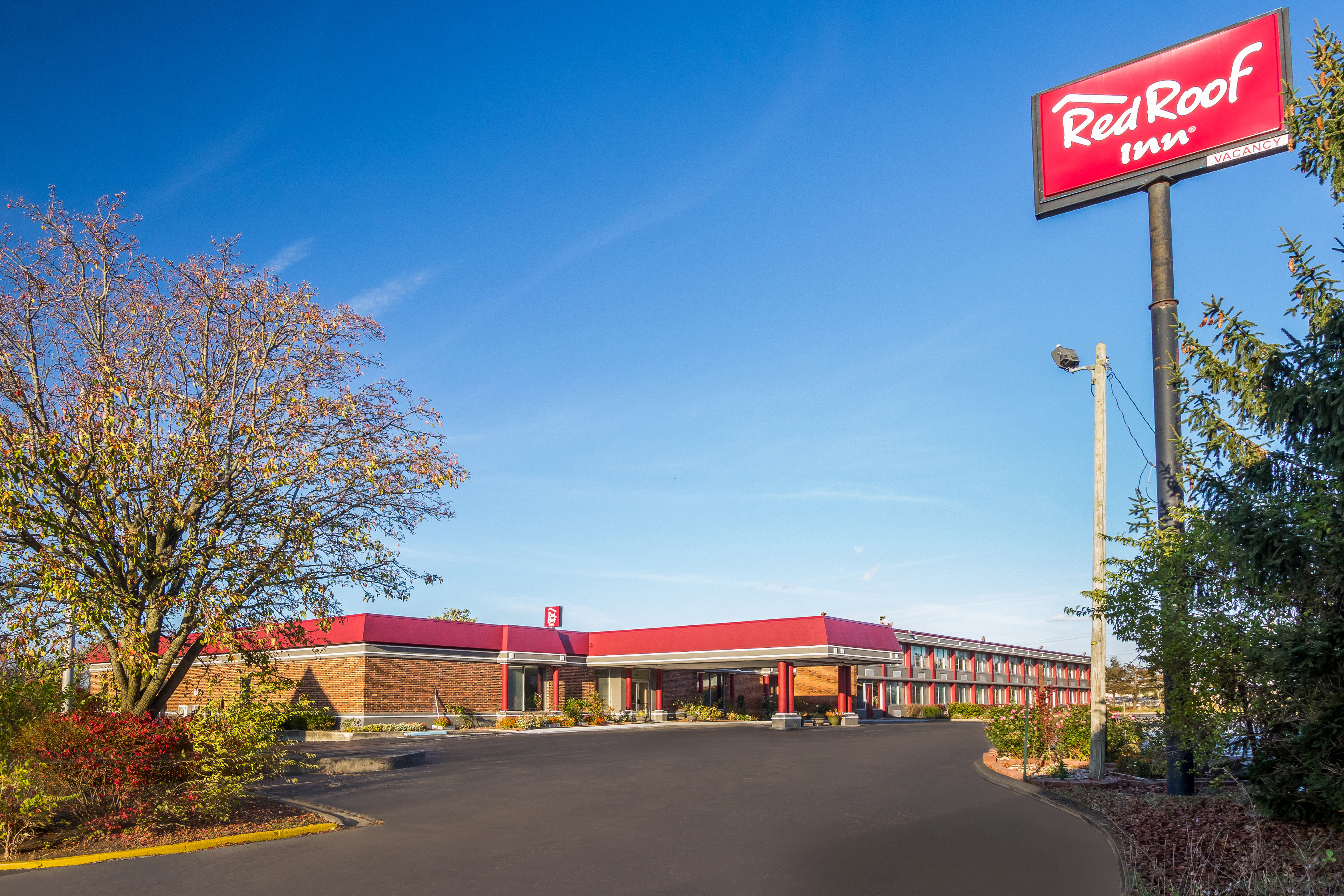 Red Roof Inn Lexington Winchester 10/31