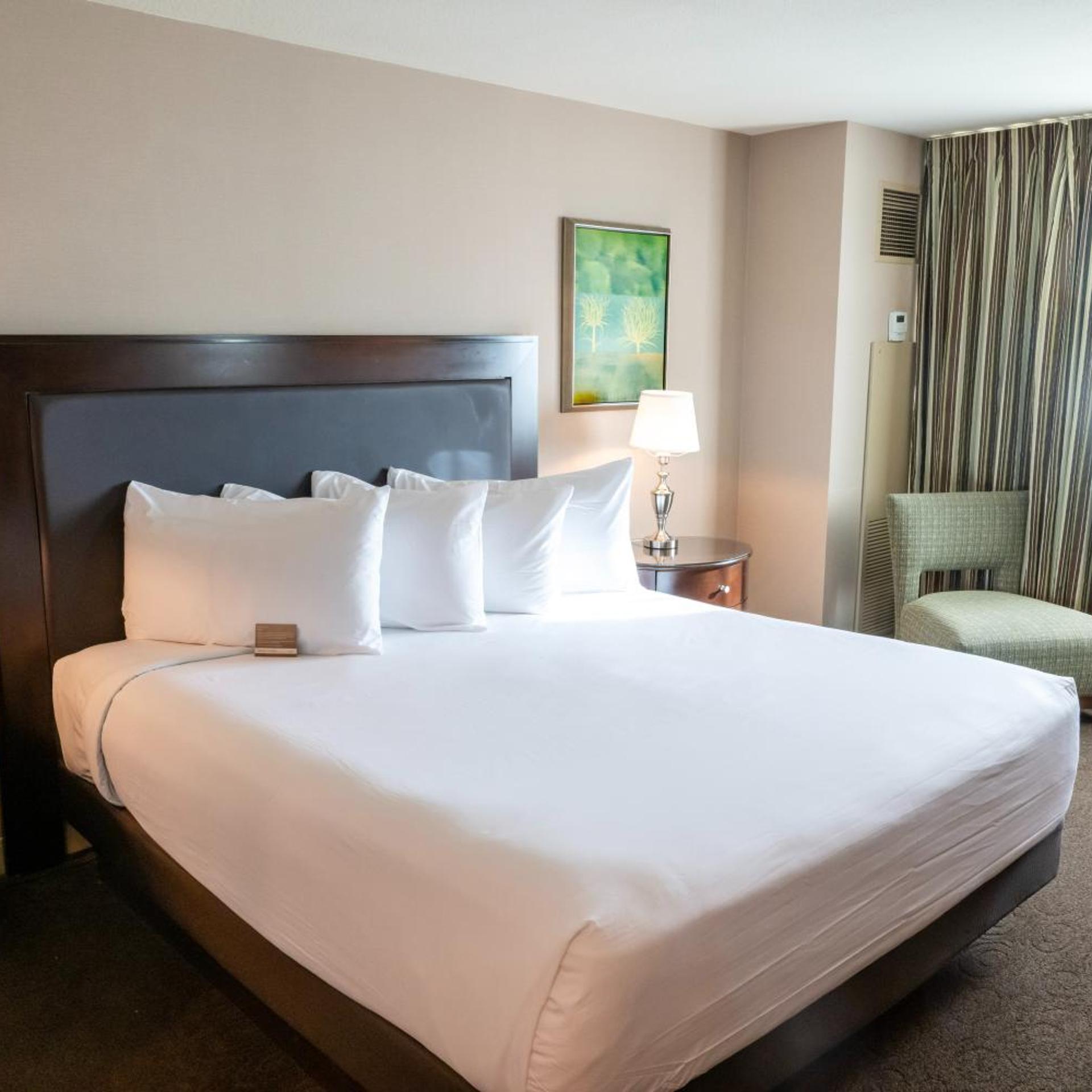 Deluxe, Studio, King Bed