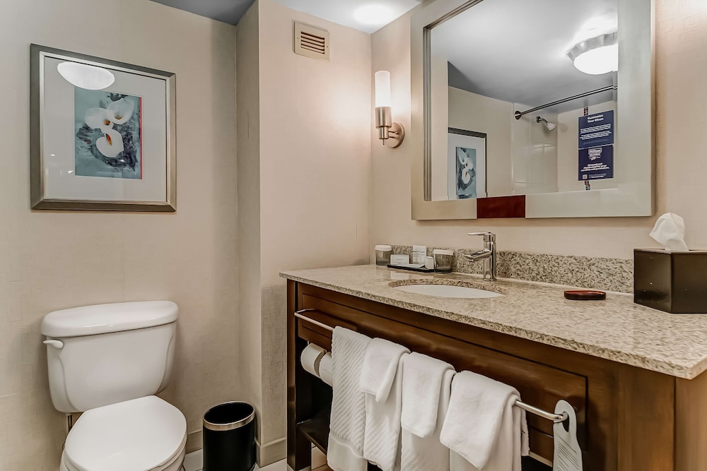 Embassy Suites Atlanta Kennesaw Town Center 23/61