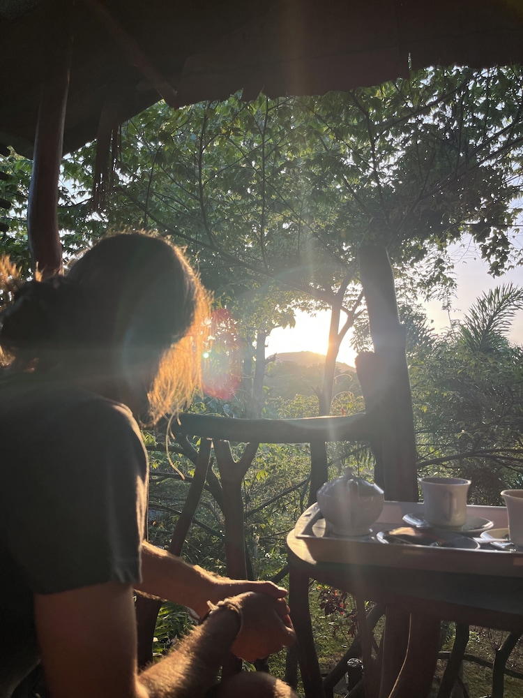 Sigiriya Rock Gate Resort 25/50