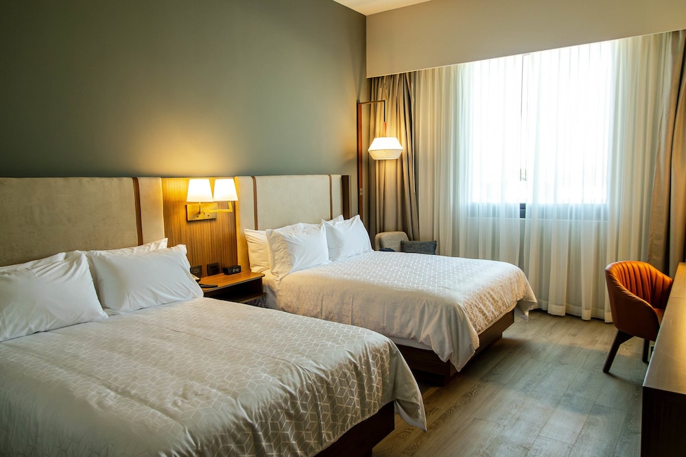 Suite, Multiple Beds
