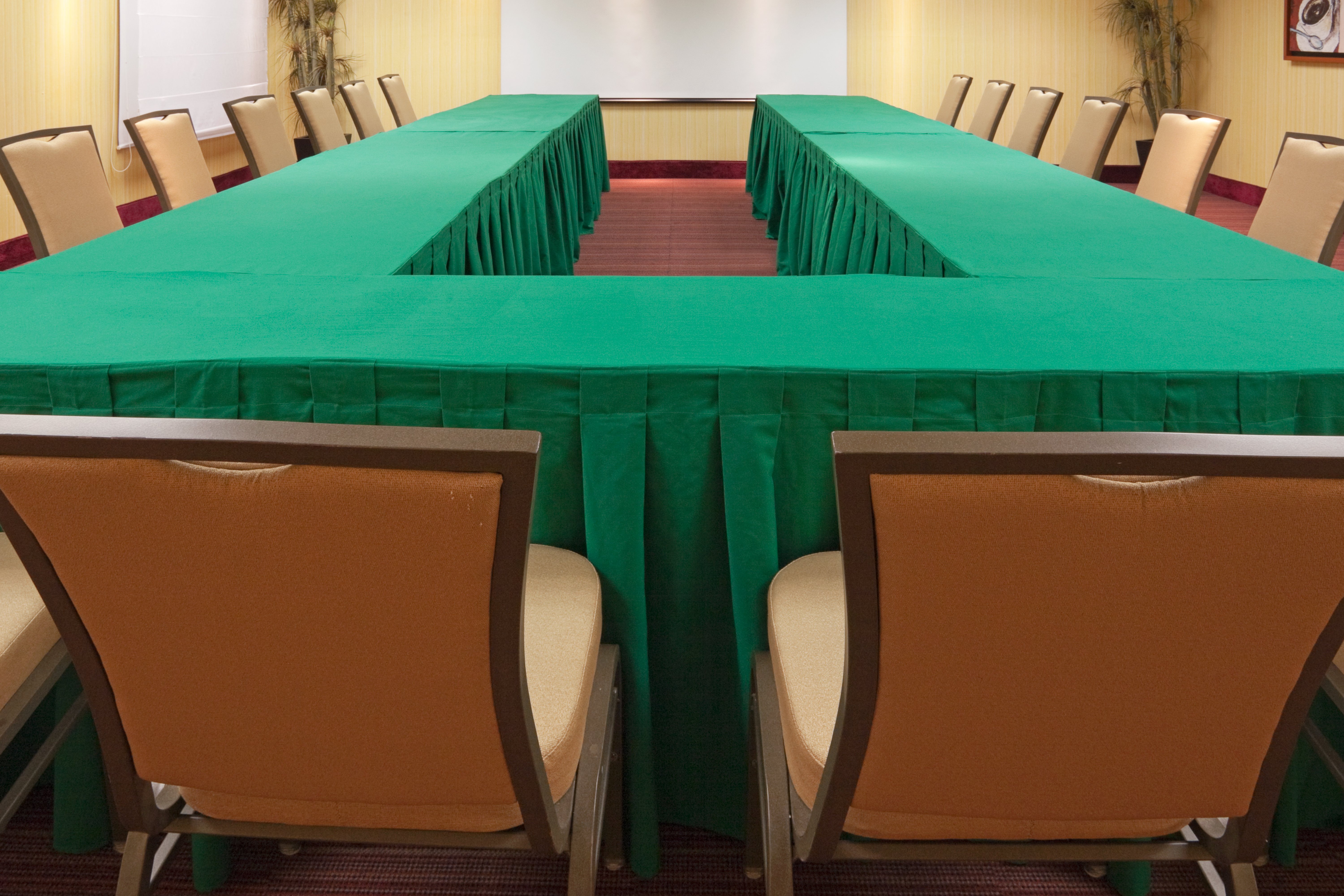 Holiday Inn Express Tapachula Chis 43/60
