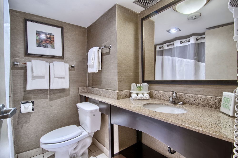 Holiday Inn Express Detroit-Birmingham 9/39