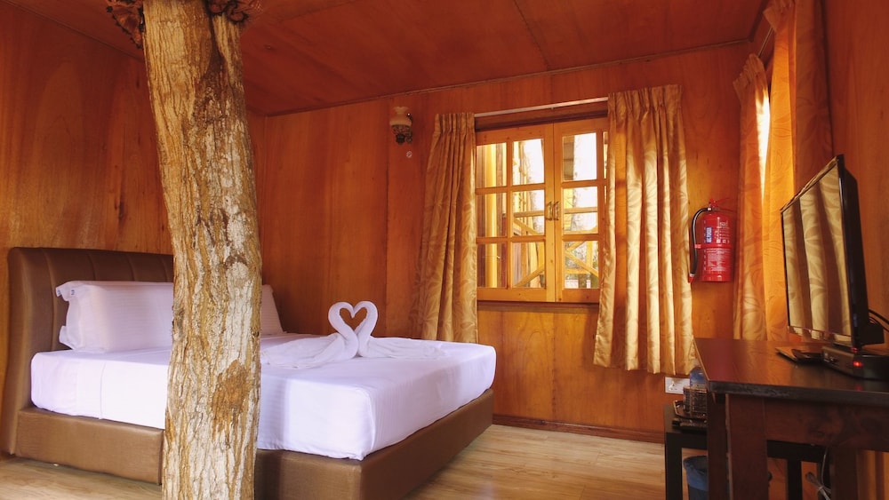 Borneo Tree House 11/25