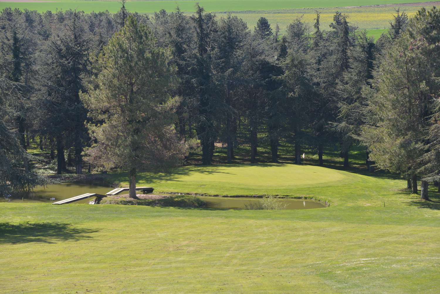 Golf D albon 19/23