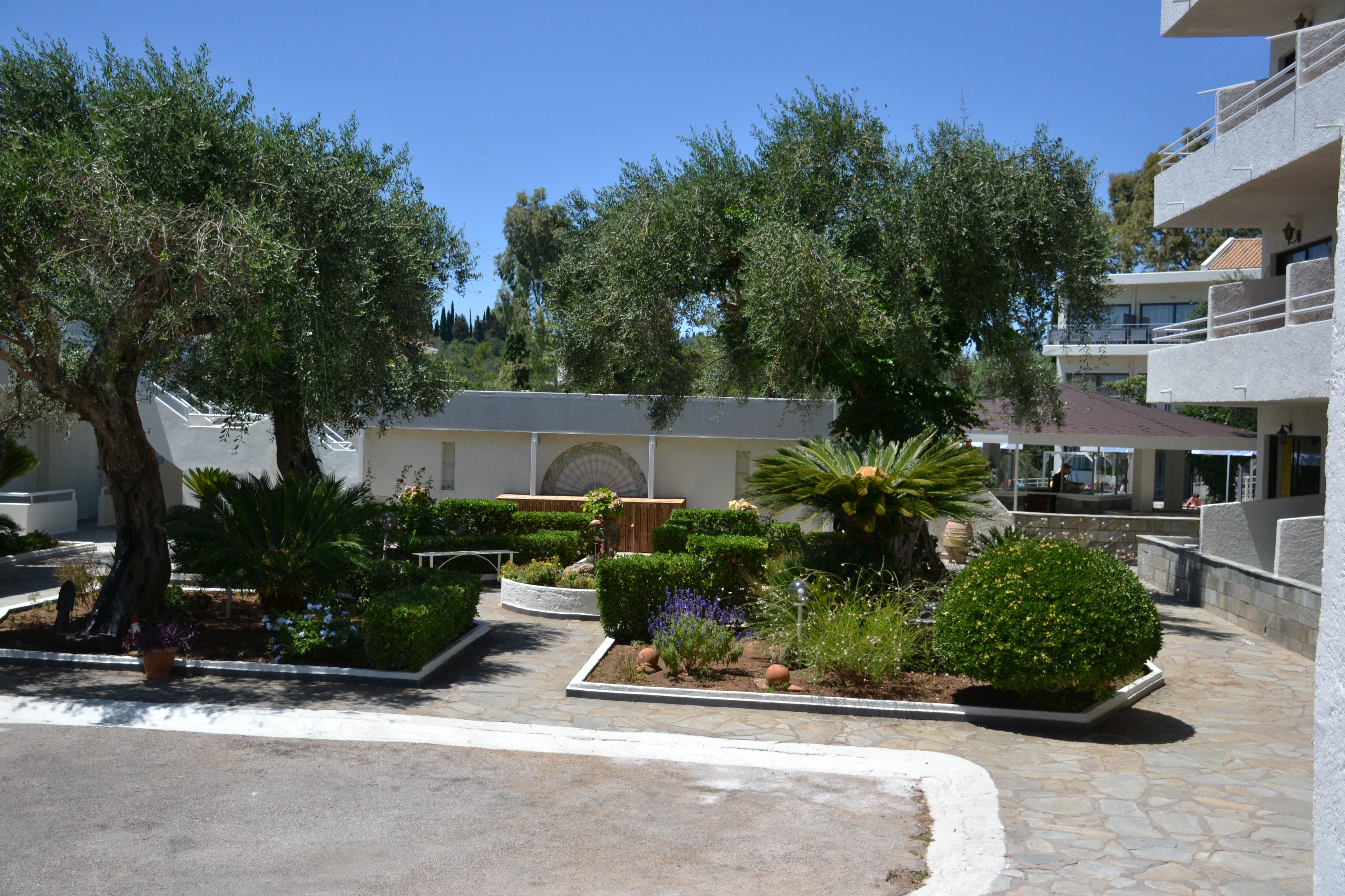 Dassia Holiday Club 29/30