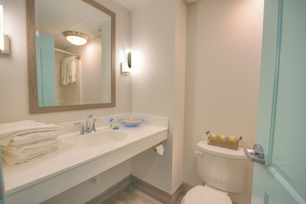 غرفة قياسية بسريرين مزدوجين، Royalton Hotel 4/4