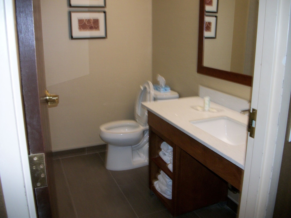 Comfort Suites Dover University Area 9/36
