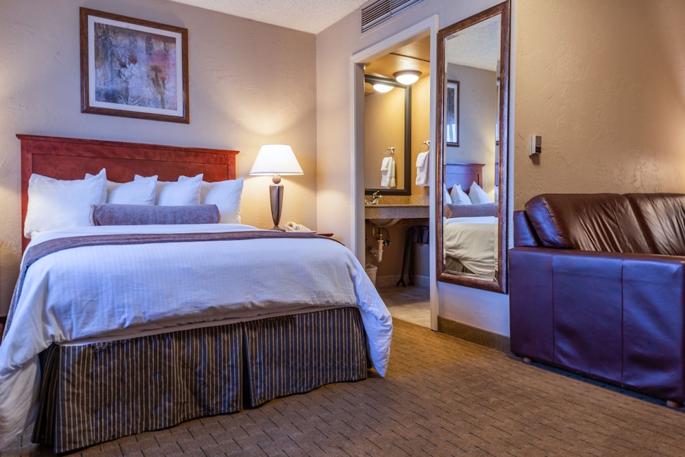 Best Western Vista Inn At The Airport 15/47