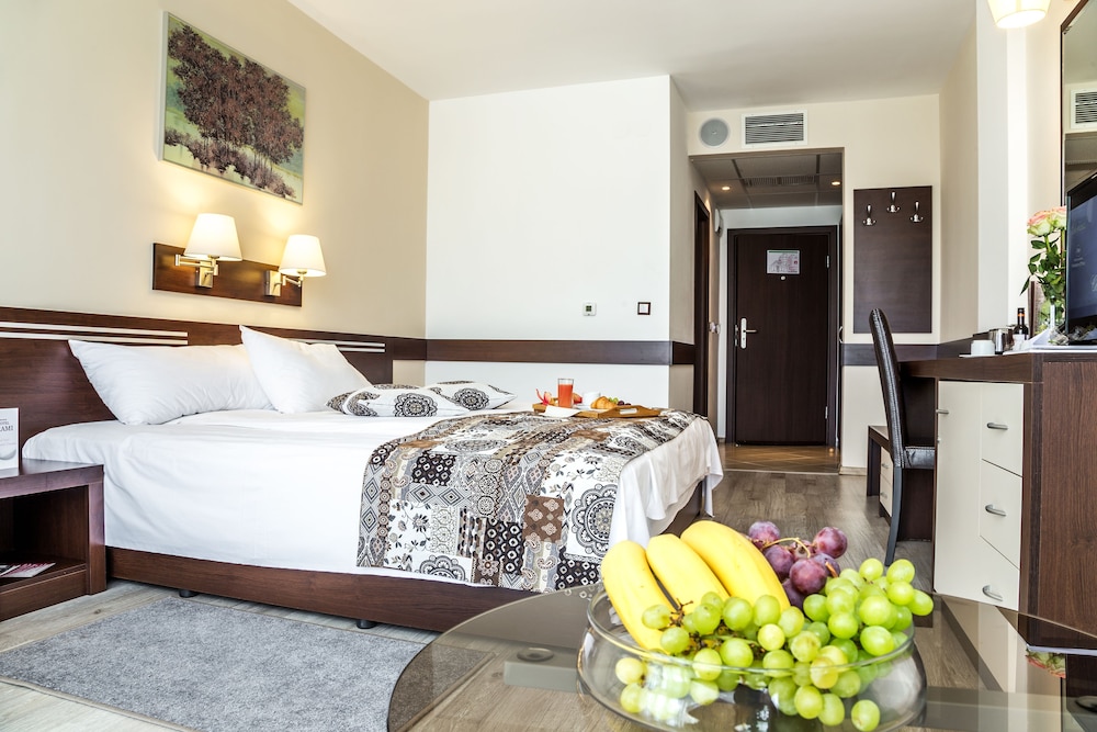 Grami Hotel Sofia 23/50
