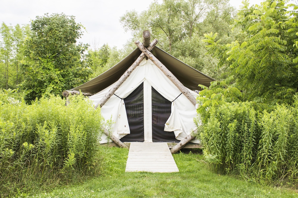 Firelight Camps 39/44