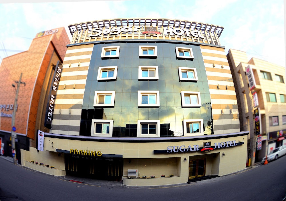 Sugar Hotel 3/50
