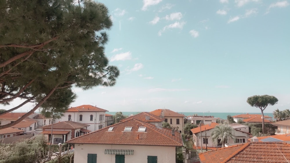 La Pineta Al Mare Hotel 3/68