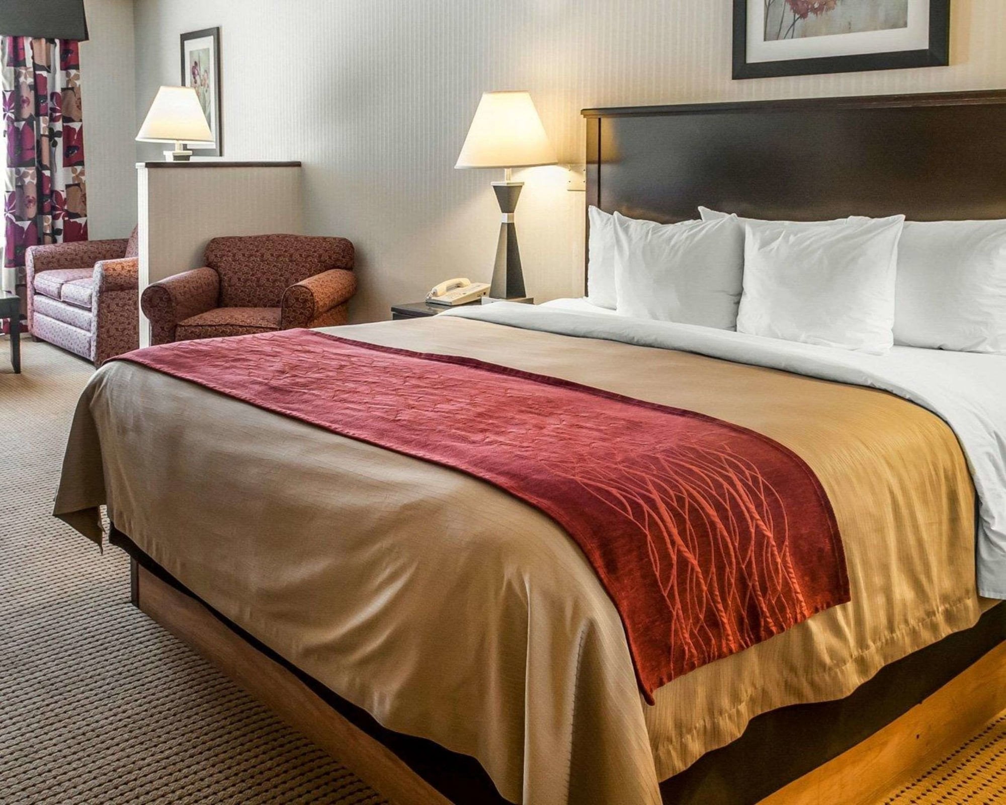 جناح بسرير كينج، Quality Inn Suites Farmington 4/8