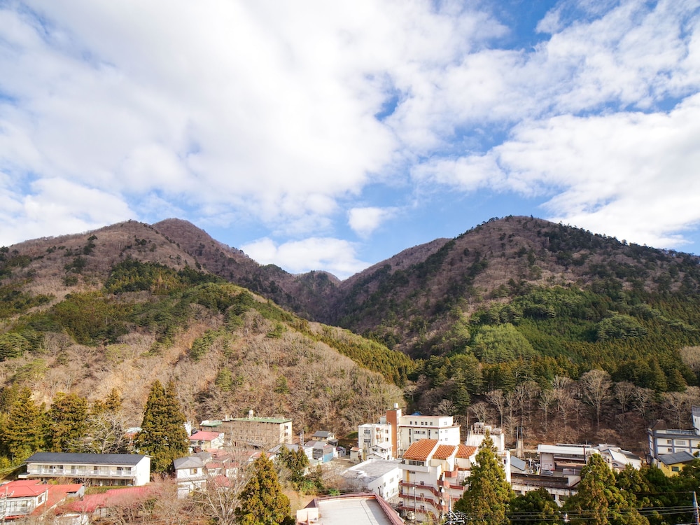 Shiobara Onsen Yashio Lodge 40/42