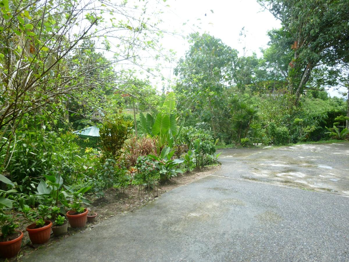 Slagon Homestay 19/19