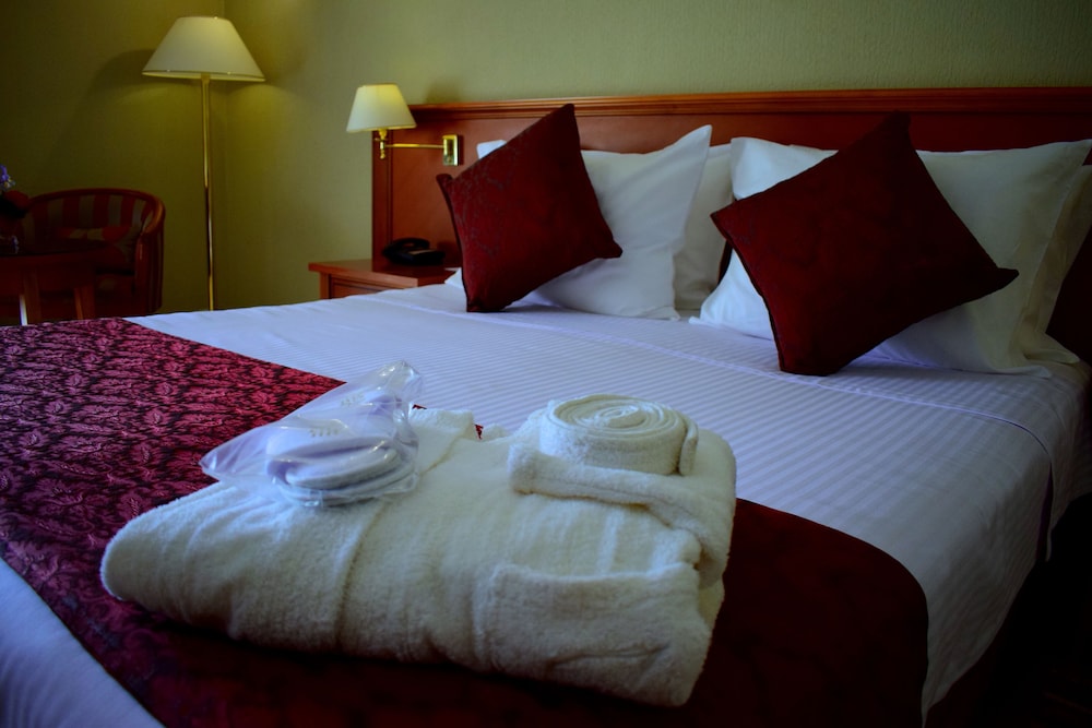 Golden Carthage Tunis Hotel 16/51