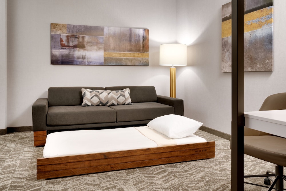 SpringHill Suites by Marriott Phoenix Scottsdale 19/41