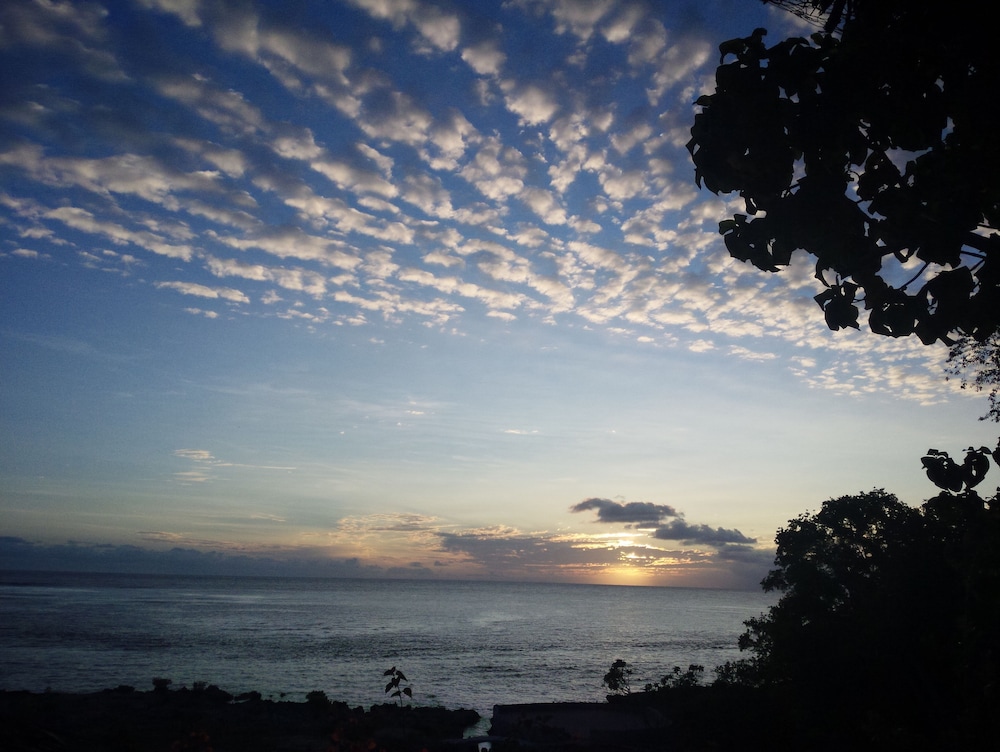 Tanna Evergreen Resort & Tours 36/50