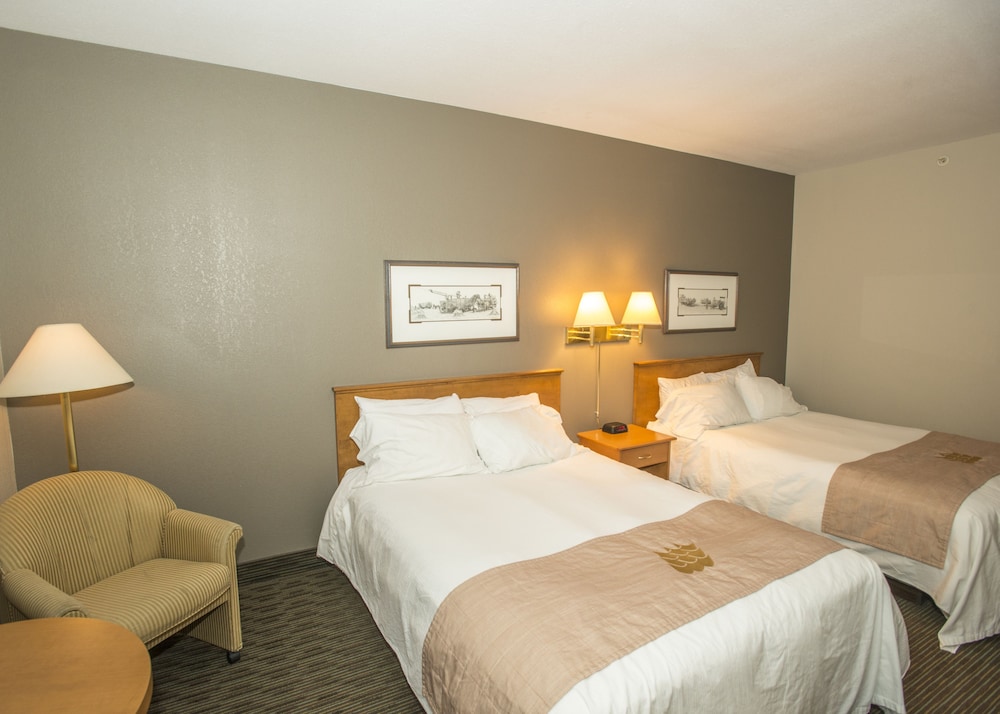 Lakeview Inn & Suites 12/60