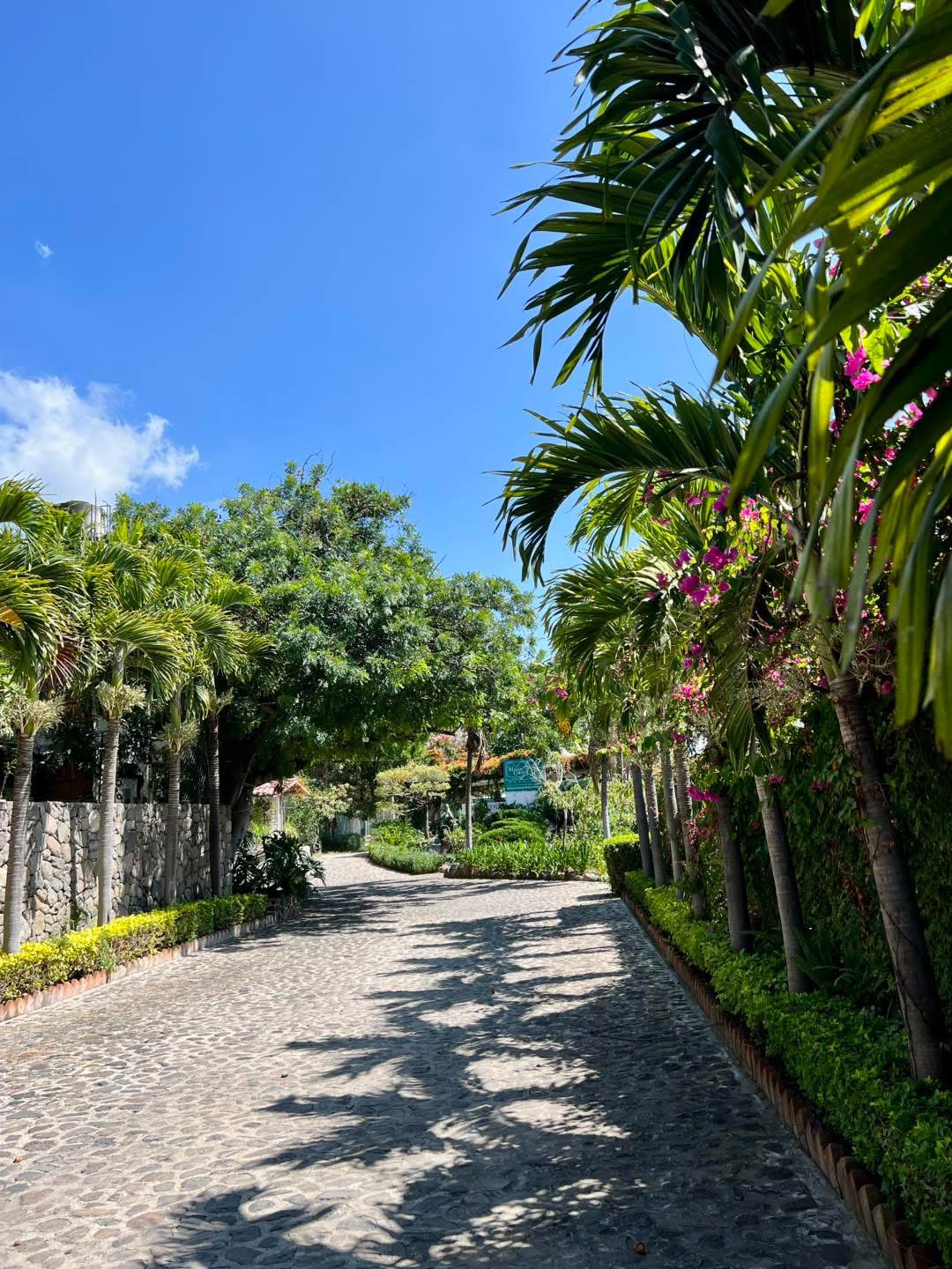 Mama Chuy Hotel & Villas 39/50