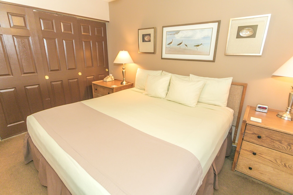 1 Bedroom, Premium, King Bed, Murphy Bed, Ocean View, Kitchen