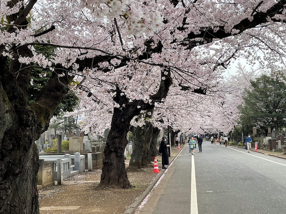 Sakura Hotel Nippori 30/49