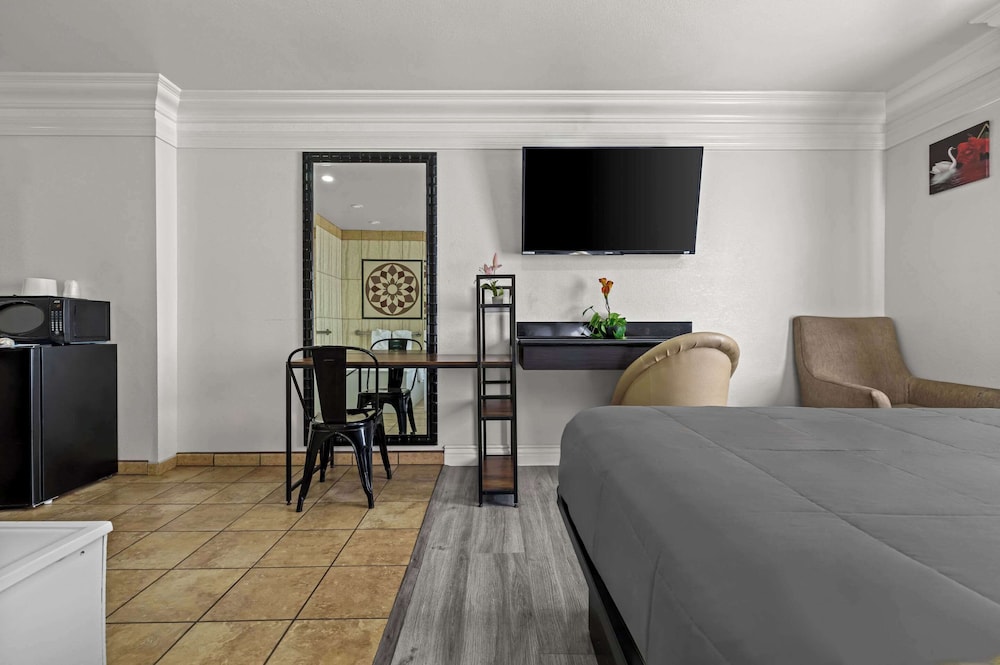 Suite, King Bed