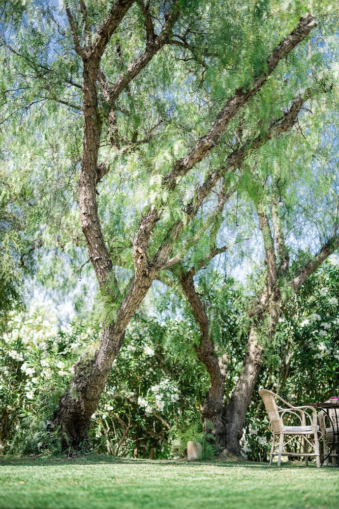 Hacienda de San Rafael 39/50