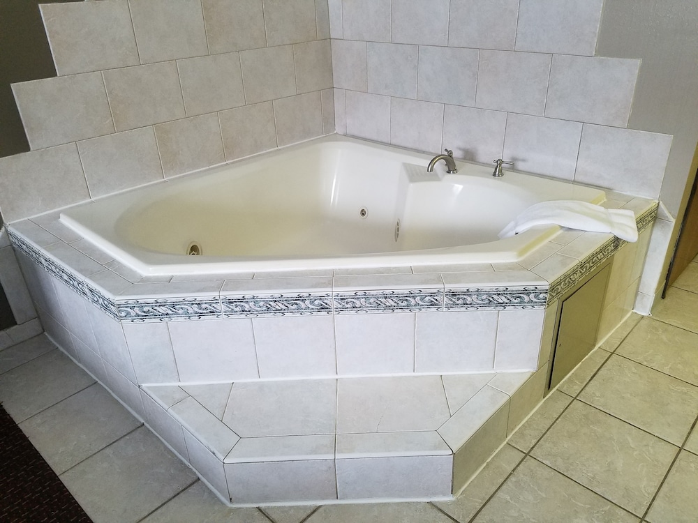 奥黑尔/芝加哥/艾尔克格罗夫村速 8 酒店(Super 8 by Wyndham Chicago O'Hare Airport) 图片2
