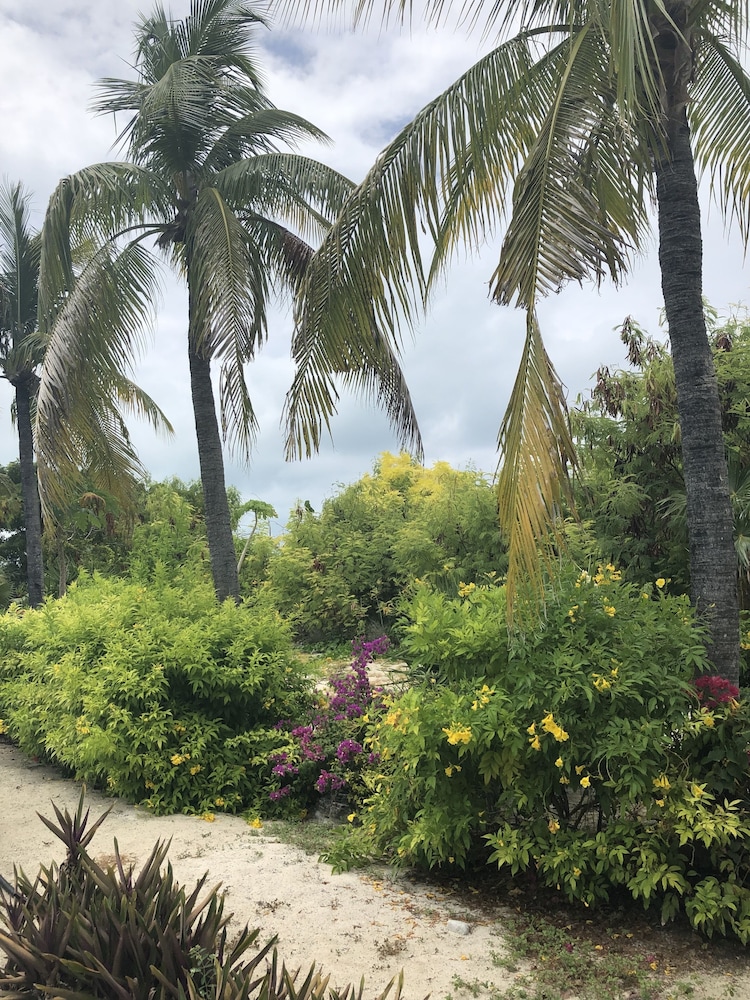 Ports of Call Resort 46/50