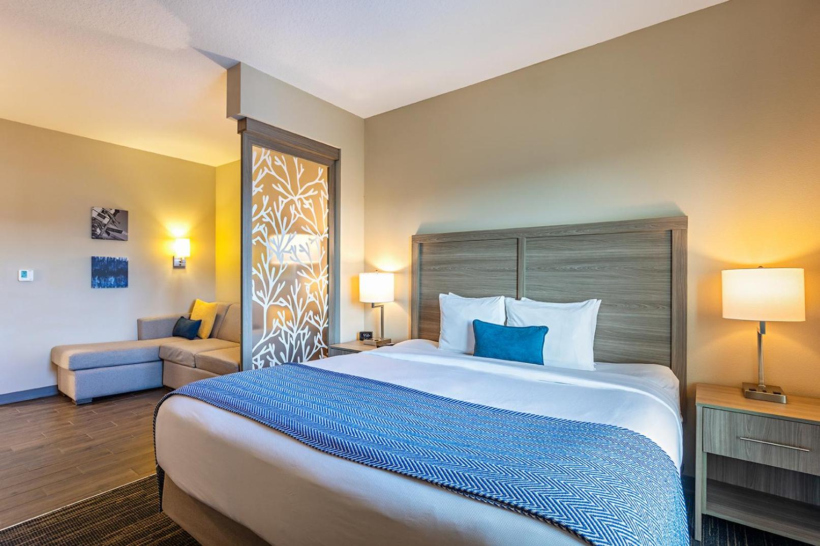 Suite, King Bed, Sofa
