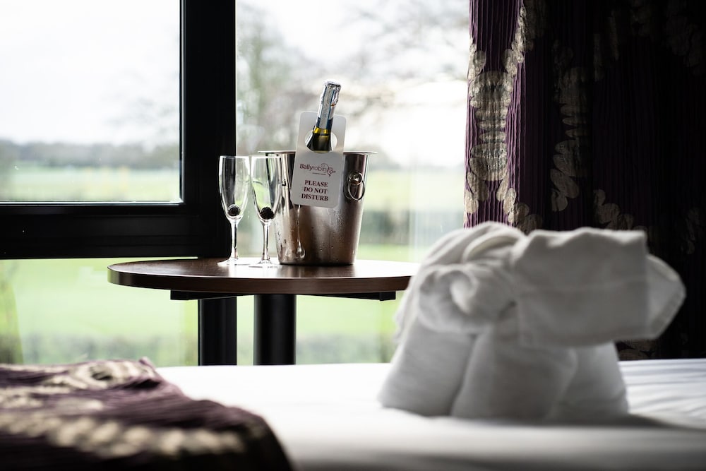 Ballyrobin Country Lodge 40/51