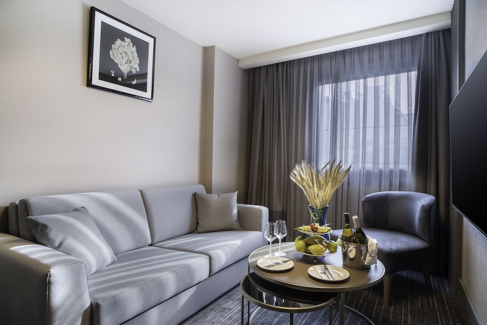 Arts Hotel Taksim 45/67