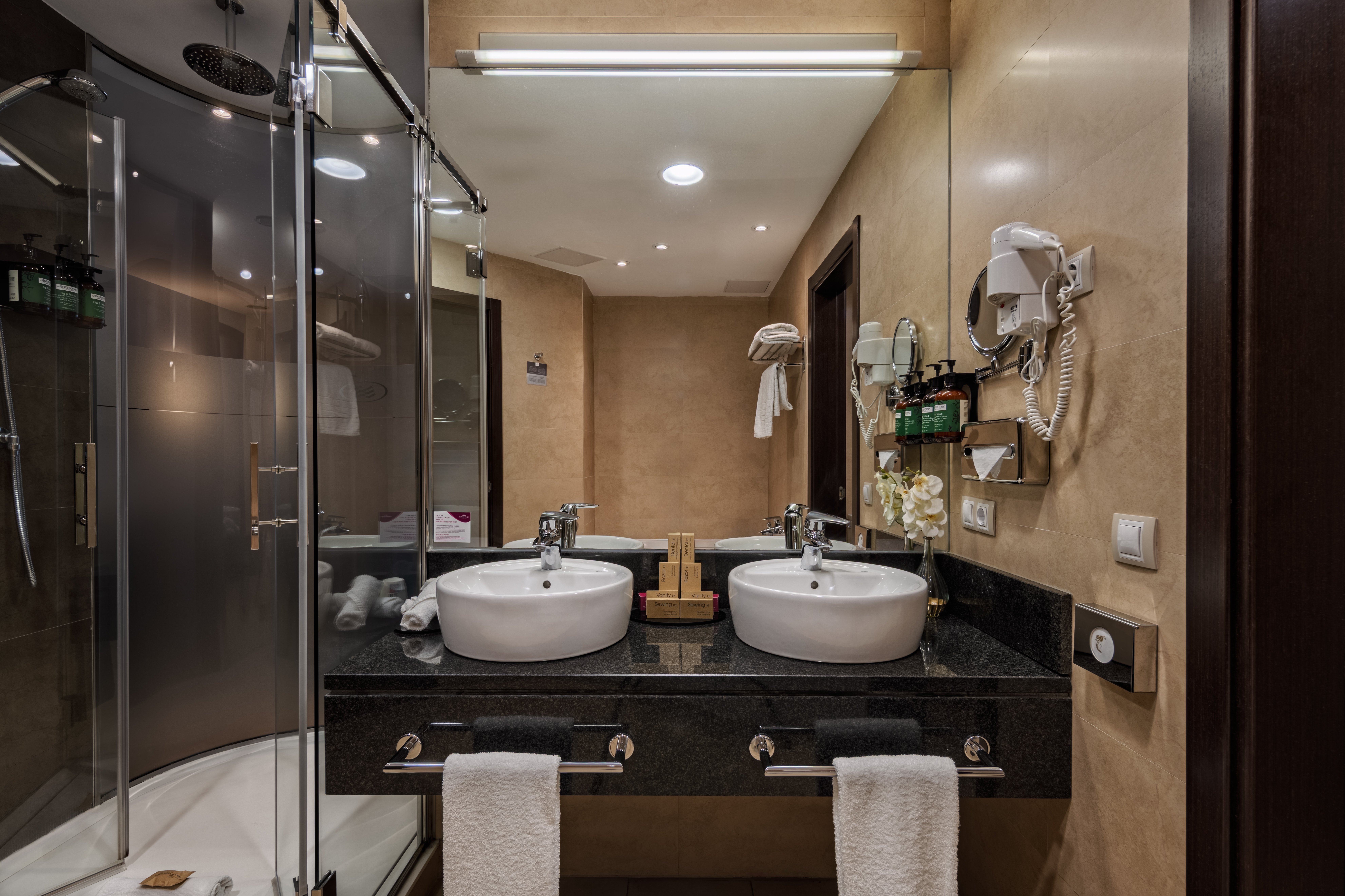 Crowne Plaza Madrid Airport Hotel 75/76