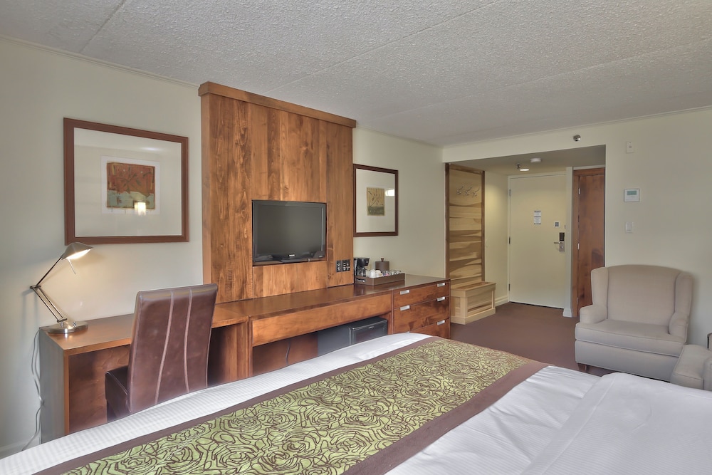 BLUE MOUNTAIN INN 15/50