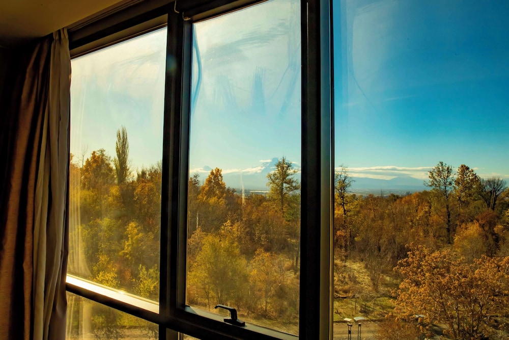 Radisson Blu Hotel Yerevan 21/50
