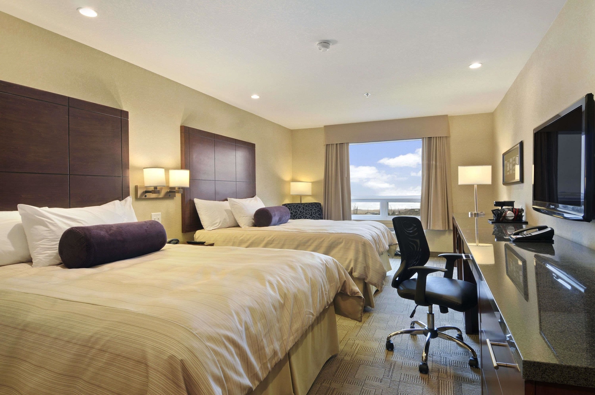 Suite, Queen Bed